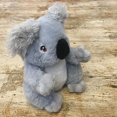 Koala-Teddy - Sonnig
