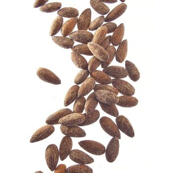 Vrac: Amandes au sel fumé- Seau de 4kg