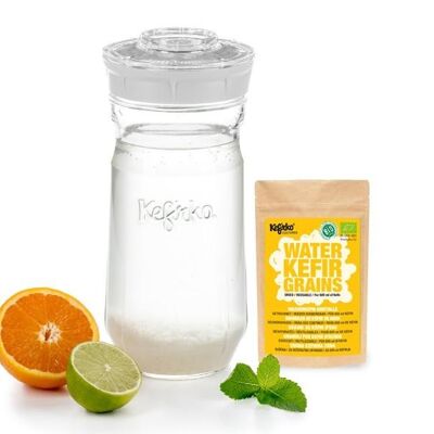 Kefirko Kefir Kit with Organic Water Grains - 1.4L - White