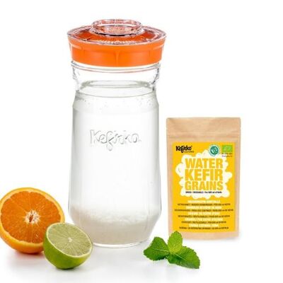 Kefirko Kefir Kit with Organic Water Grains - 1.4L - Orange