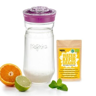 Kefirko Kefir Kit with Organic Water Grains - 1.4L - Pink