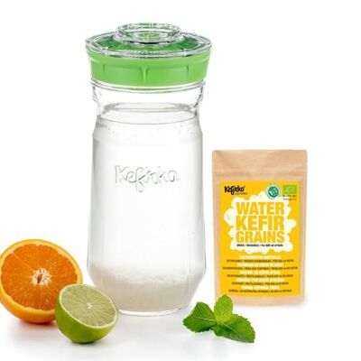 Kefirko Kefir Kit with Organic Water Grains - 1.4L - Green