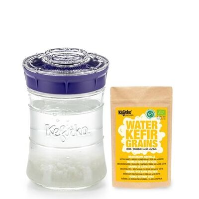 Kefirko Complete Kefir Starter Kit with Organic Water Grains - Purple