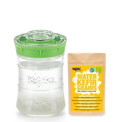 Kefirko Complete Kefir Starter Kit with Organic Water Grains - Green