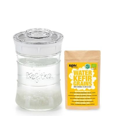 Kefirko Complete Kefir Starter Kit with Organic Water Grains - White