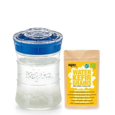Kefirko Complete Kefir Starter Kit with Organic Water Grains - Blue