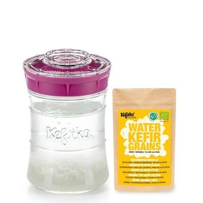 Kefirko Complete Kefir Starter Kit with Organic Water Grains - Pink