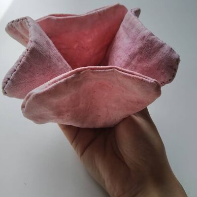 Vulva Amapola Útero