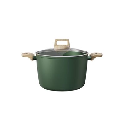 PENTOLA CON COPERCHIO IN VETRO VERDE BOSCO 20 CM -TUTTE LE STUFE COMPRESE A INDUZIONE