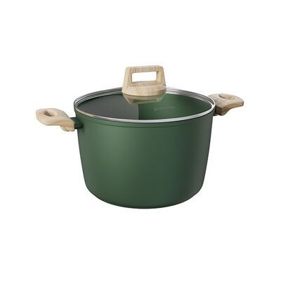 PENTOLA CON COPERCHIO IN VETRO VERDE BOSCO 24 CM -TUTTE LE STUFE COMPRESE A INDUZIONE