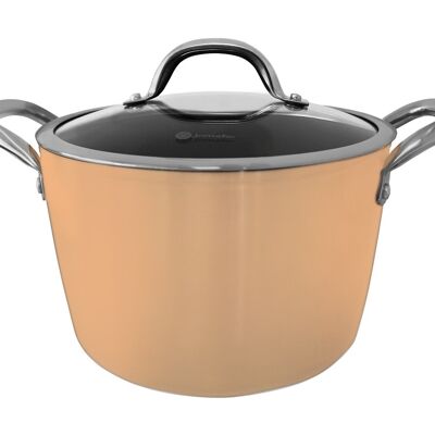 PADELLA D'ORO CON COPERCHIO IN VETRO E ALI IN INOX HUGI 24 CM - INDUZIONE+ FORNO