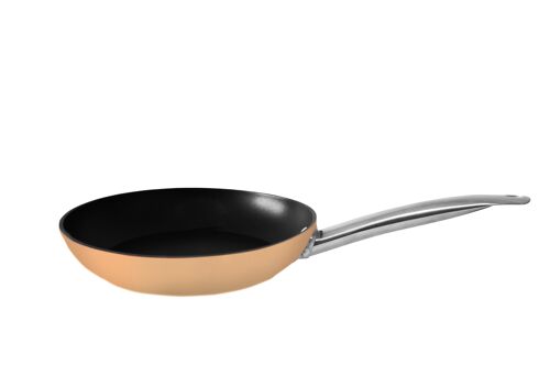 Gold FRYPAN HUGI 24 WITH S/S CABLE-INDUCTION