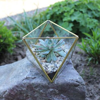 Terrarium en verre géométrique, triangle 2