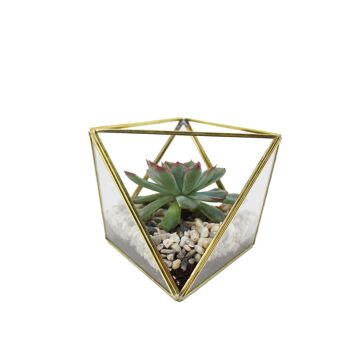 Terrarium en verre géométrique, triangle 3