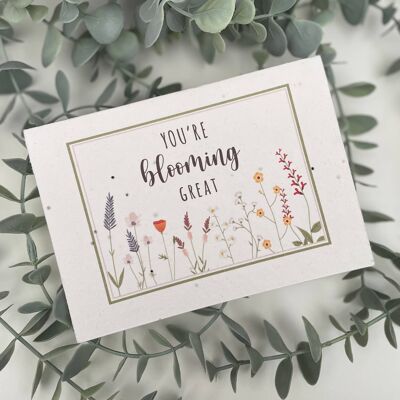 Plantable Wildflower Card - You’re Blooming Great