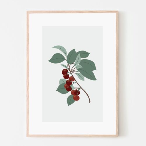 Affiche A4 -  Fruit de saison Cerises