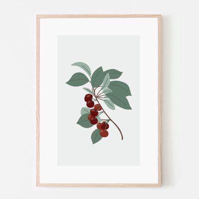 A4 poster - Seasonal fruit Cherries