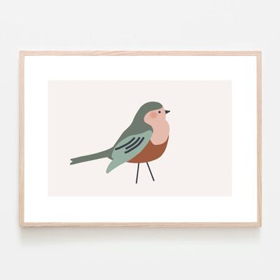 A4 Poster - Sparrow