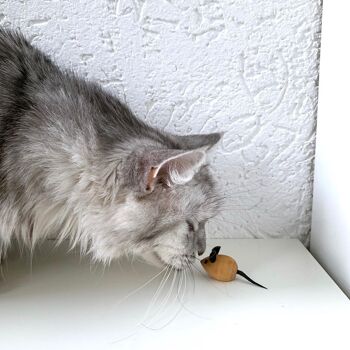 Jeu de souris pour chats, souris en bois 5