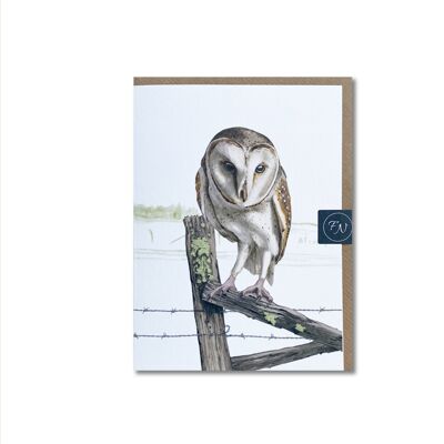 Barn Owl - Greeting Card