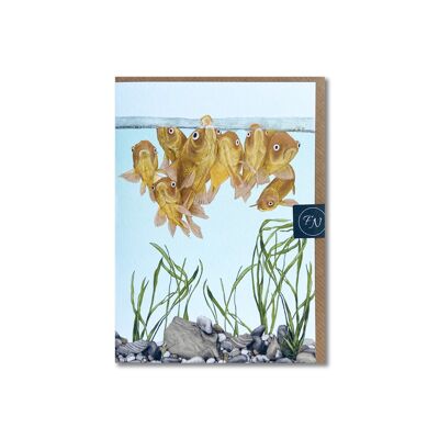 Goldfish - Greeting Card