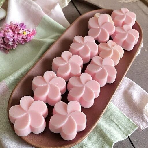 The Good Life - DUPES - Melt profumato con cera di colza 16g