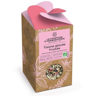 TISANE GLACEE FRUITEE BIO 60G