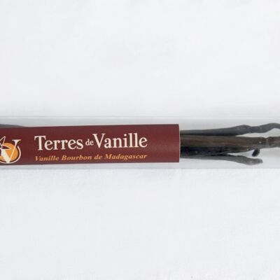5 Gourmet Vanilla Beans 14 - 15cm