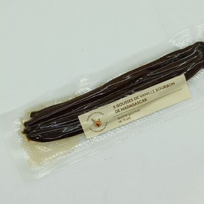 5 Gourmet vanilla pods 14 - 15cm vacuum packed