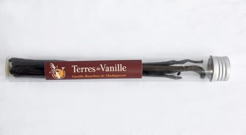 10 Gousses de vanille Gourmet 17-18cm