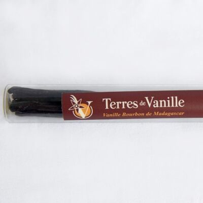 10 baccelli di vaniglia gourmet 17-18 cm