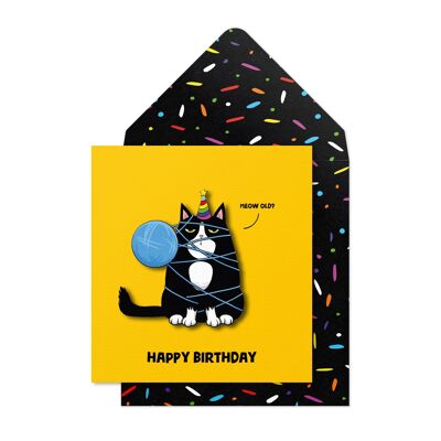 Birthday Black Cat