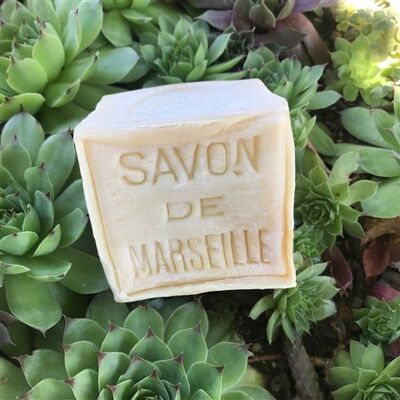Genuine Marseille Soap - The Vegetable Cube