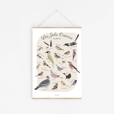 Affiche A2 "Les jolis oiseaux du jardin"