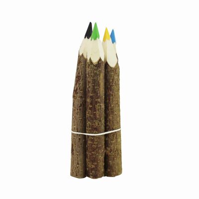 Branch pencils set of 5, wooden wax crayons