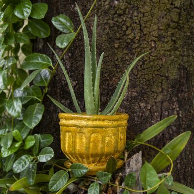 Mexican clay flower pot with Roma plate