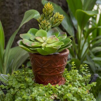 Pot de fleurs mexicain en argile avec plaque pyramidale 2