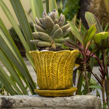 Pot de fleurs mexicain en terre cuite avec assiette Palma 3