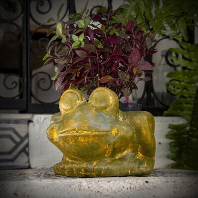 Clay flower pot frog