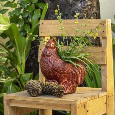 Pot de fleur en argile coq intérieur et extérieur