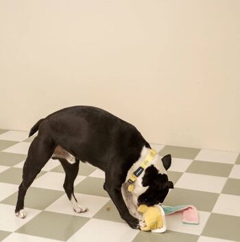 Gâteau d'Anniversaire - Jeu Caché Croquettes et Snacks, Jouet Sonore Interactif pour Chien 2