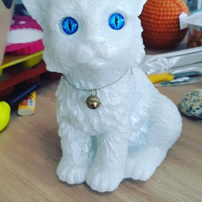 Chat