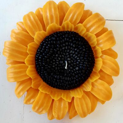 Sunflower with central refill.