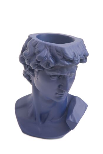 Vase Plante de David (Bleu) 3