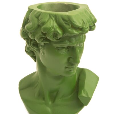 Vase à plantes de David (vert)