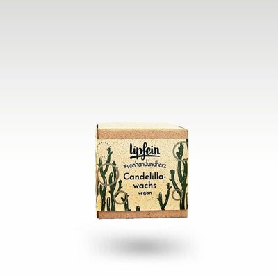 Candelilla wax in cardboard box 50g