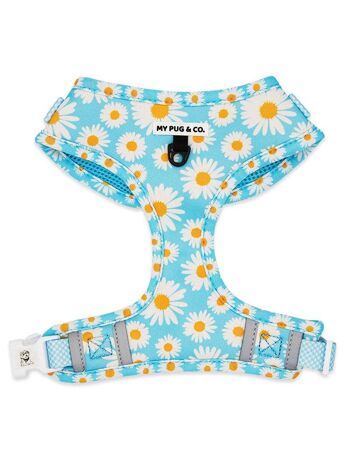 Chaque harnais ajustable Daisy XS 1