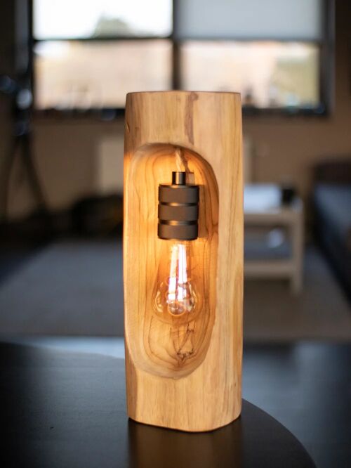 Table / Bedside / Wall Lamp "Chuck".