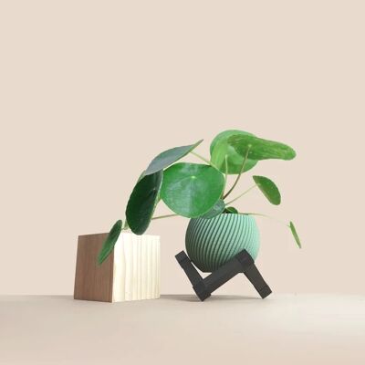 Cache-pot en bois recyclé avec support pour plantes/ cactus, minimaliste et moderne, home decor, cadeau original