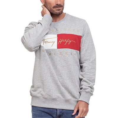 Sudadera TOMMY HILFIGER en Gris